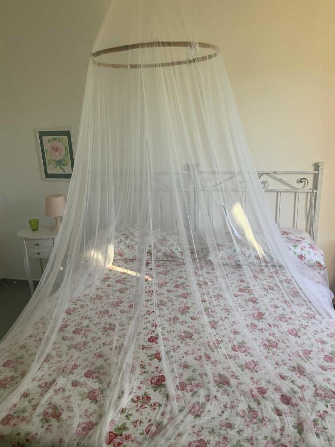 Beahouse: Casa Con Vista A Sassetta Apartment Ngoại thất bức ảnh